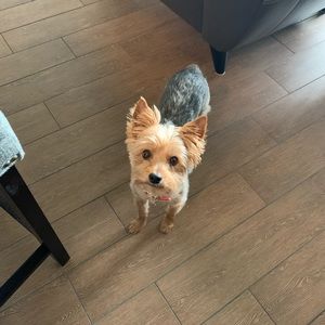 Meet your Posher, Amy